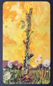 Ace of Wands - Slow Tarot