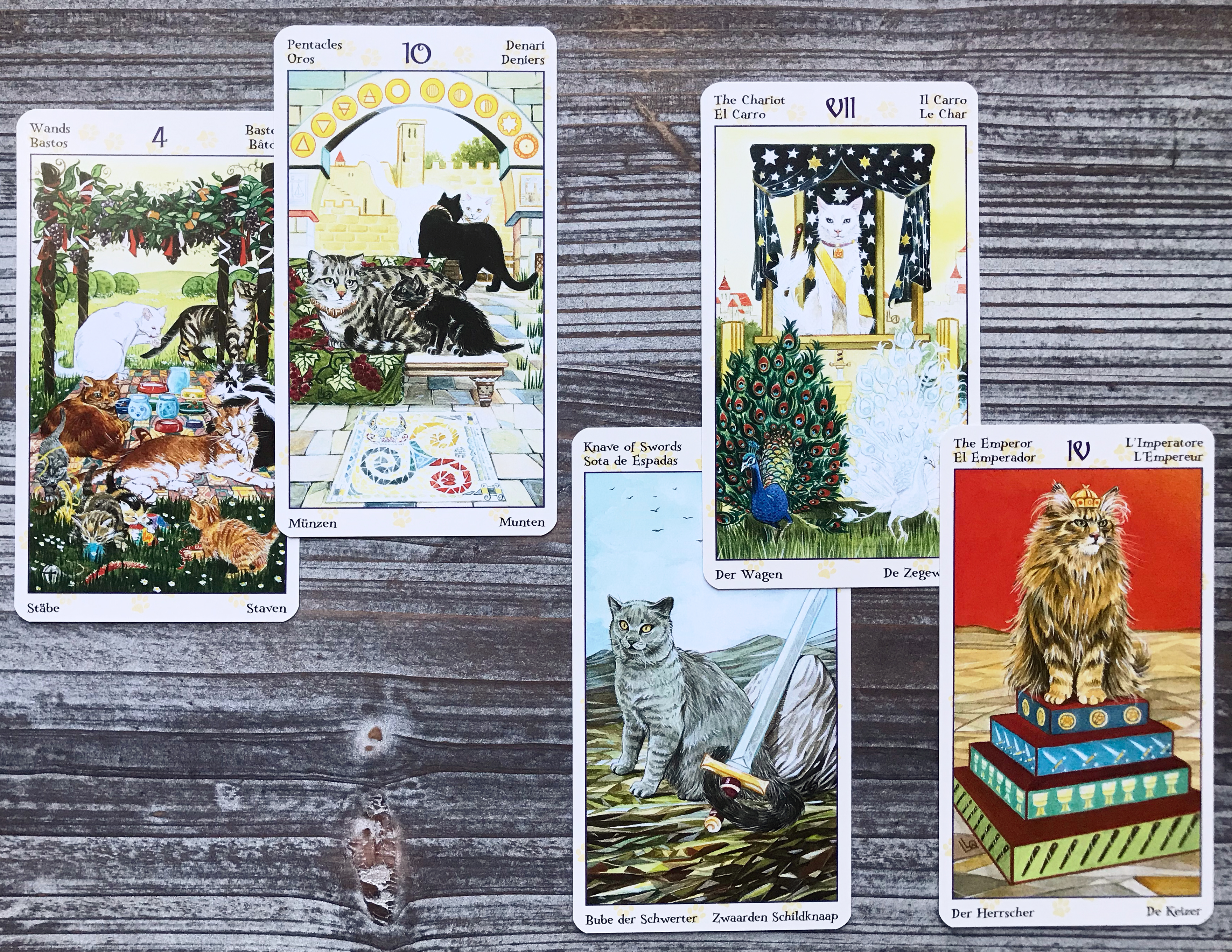 Tarot of Pagan Cats