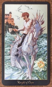 Knight of Cups - Slow Tarot
