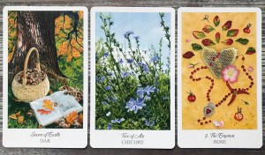 The Herbcrafters Tarot