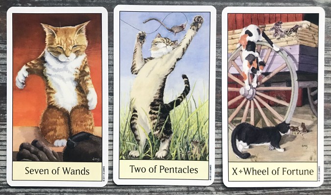 Cat's Eye Tarot