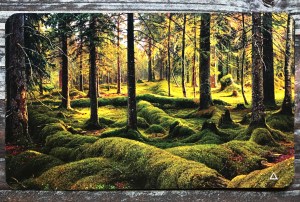 Ace of Trees - Majestic Earth Tarot