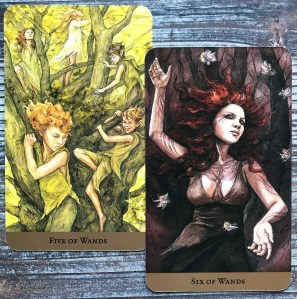 Five of Wands and Six of Wands - Tarot of the Hidden Realm