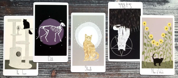 Considerate Cat Tarot