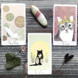 Considerate Cat Tarot