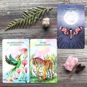 Animal Wisdom Tarot