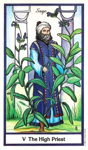 Herbal Tarot - Sage - The High Priest - Hierophant