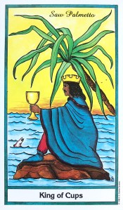 Herbal Tarot - Saw Palmetto - King of Cups