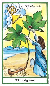 Herbal Tarot - Goldenseal - Judgement