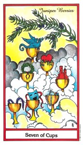 Herbal Tarot - Seven of Cups - Juniper Berries