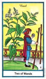 Herbal Tarot - Two of Wands - Basil