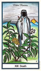 Herbal Tarot - Death - Elder Flower