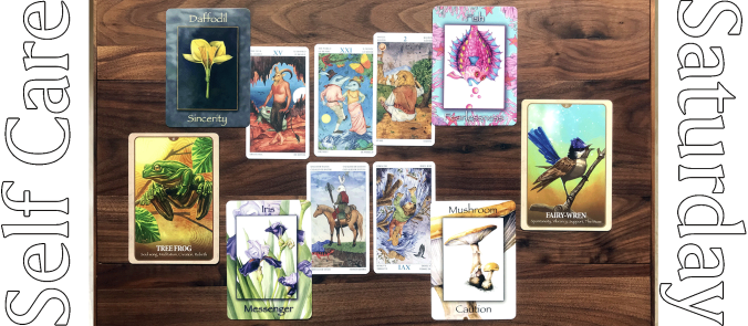 Tarot of the Animal Lords, Nature's Wisdom Oracle, Secret Language of Animals Oracle