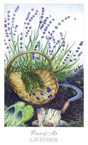 Herbcrafter's Tarot - Four of Air - Lavender