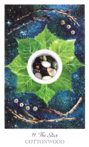 Herbcrafter's Tarot