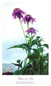 Herbcrafter's Tarot - Three of Air