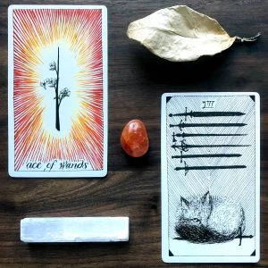 Wild Unknown Tarot