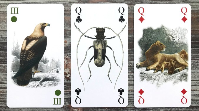 Tarot of Reincarnation