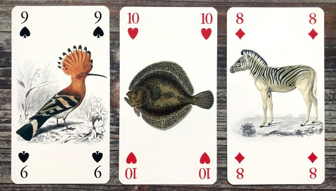 Tarot of Reincarnation