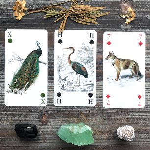 Tarot of Reincarnation