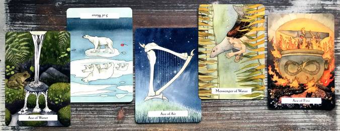 Witches Wisdom Tarot