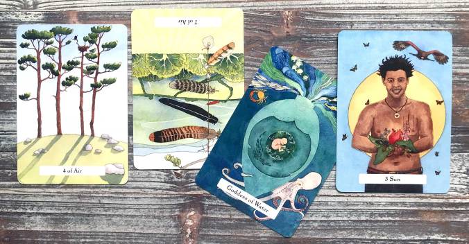 Witches Wisdom Tarot