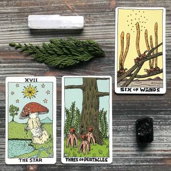 The Mushroom Tarot