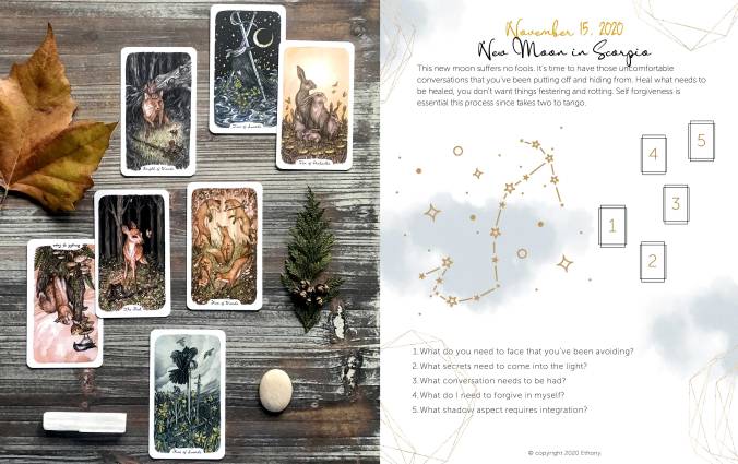 New Moon In Scorpio Tarot Reading - Oak Ash & Thorn Tarot