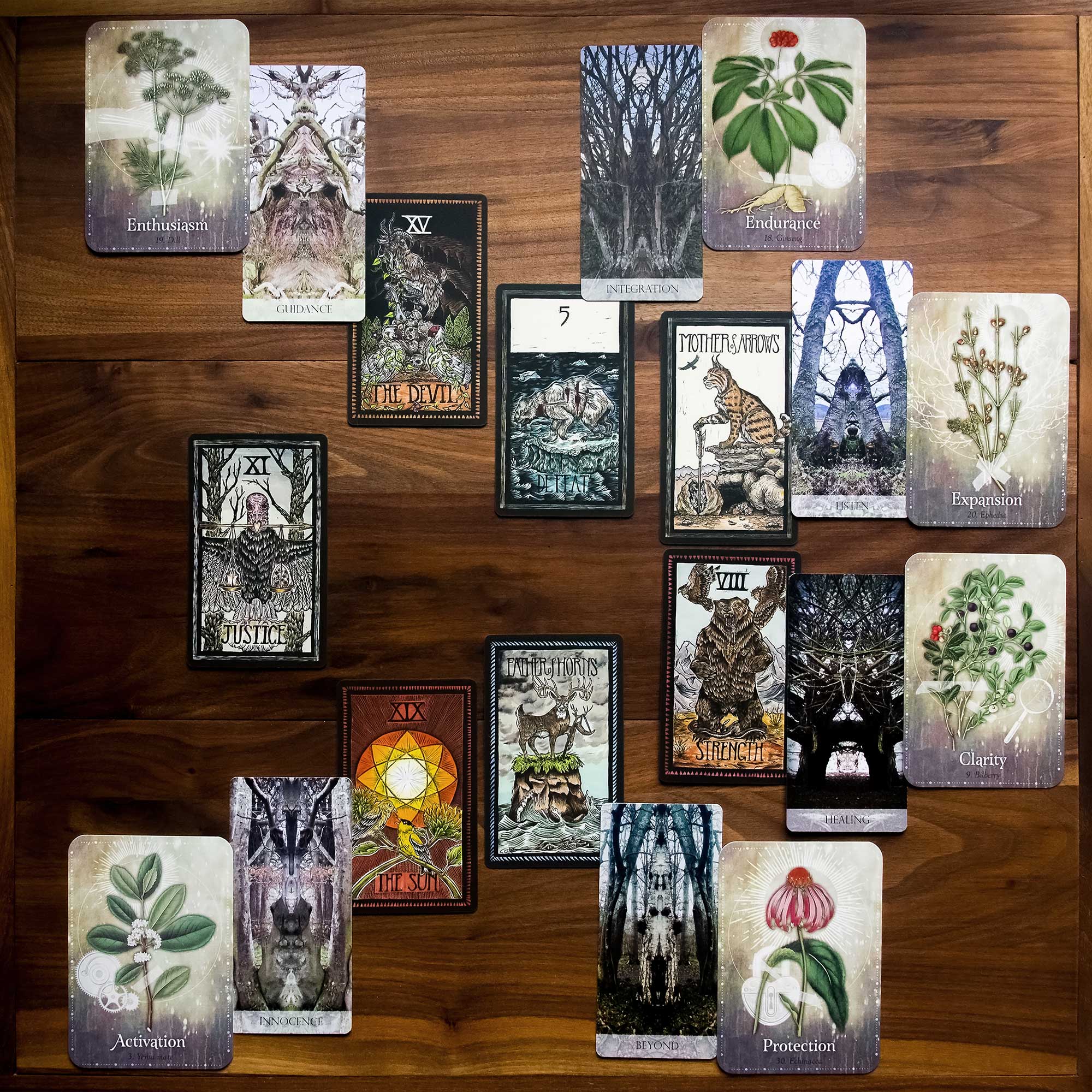 Six Month Ahead Spread - Brady Tarot, Tree Whisper Oracle, Magickal Herb Oracle