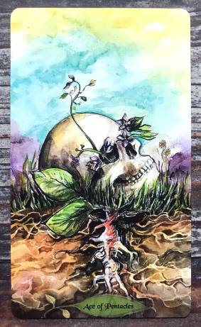 Bonestone & EarthFlesh Tarot - Ace of Pentacles