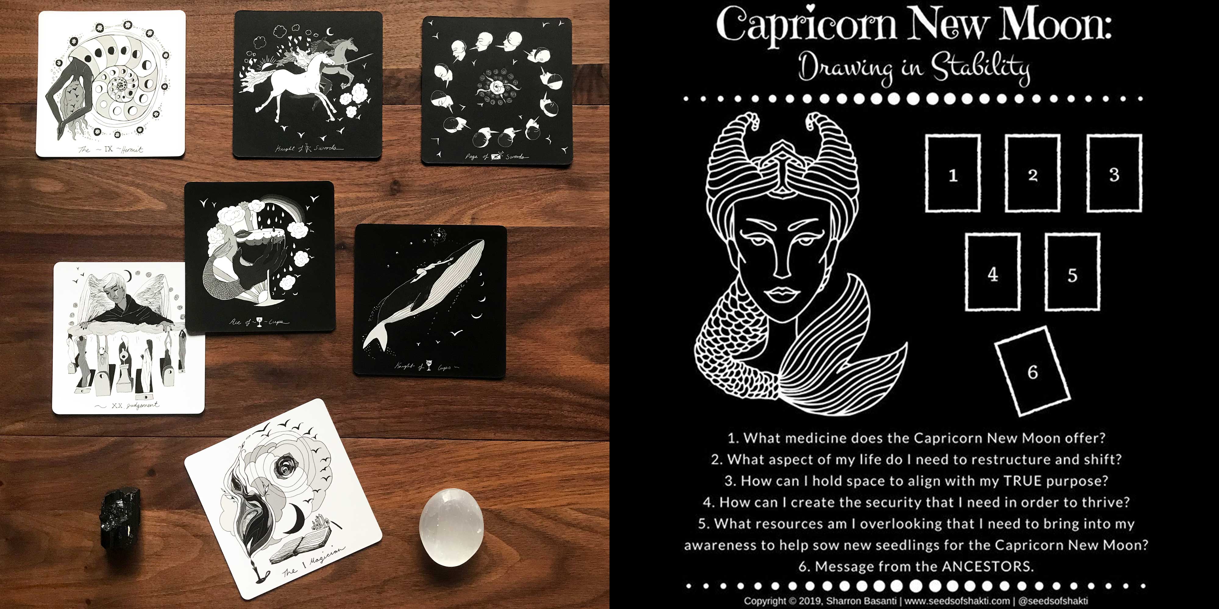 Dark Days Tarot - Capricorn New Moon Tarot Reading