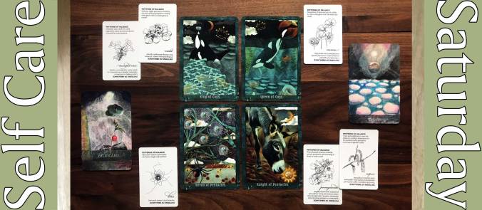 Guardian of the Night Tarot, Faceted Garden Oracle, Flower Essences Deck 1 & 2