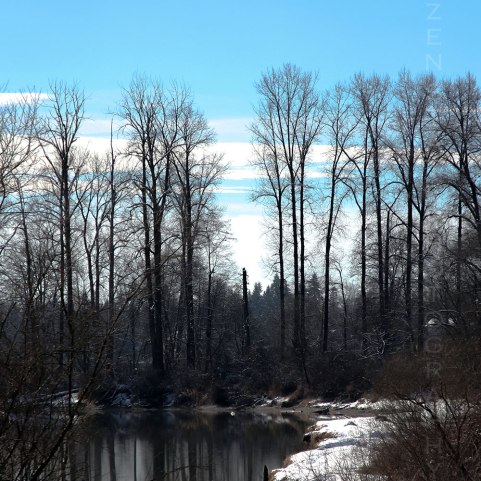 Snowy Riverside