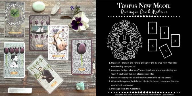 Floriography Tarot - Taurus New Moon Tarot Reading