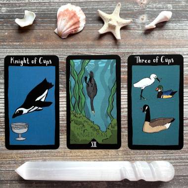 Conference of the Birds Tarot