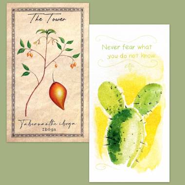 The Alchemist's Garden Tarot and Flower Fortune Cards