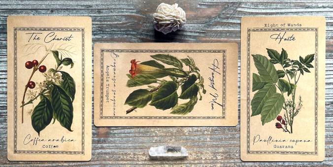 The Alchemist's Garden Tarot