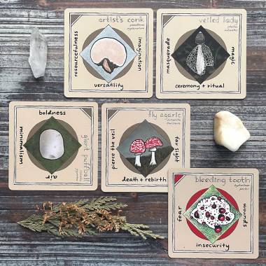 Mykologia: Fungi Themed Oracle