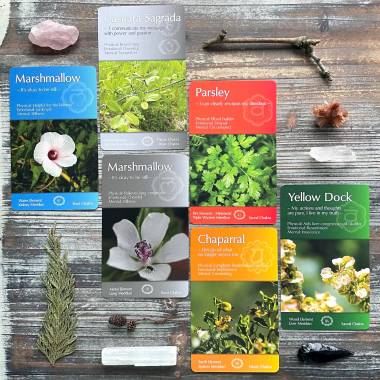 Whispering Herbs Healing Cards