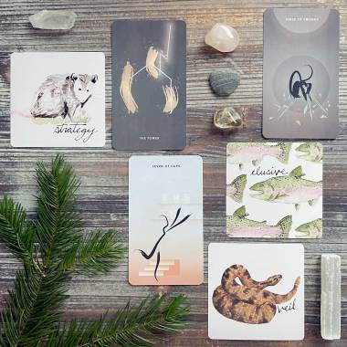 David Wilson's Animal Oracle and Homebound Tarot