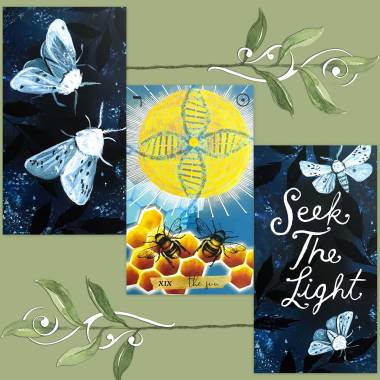 Journey of the Sacred Bee Tarot and How to be a Wildflower Deck