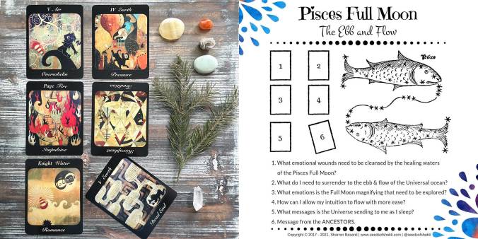 Full Moon In Pisces Tarot Reading - Journey of the Bearded Tarot