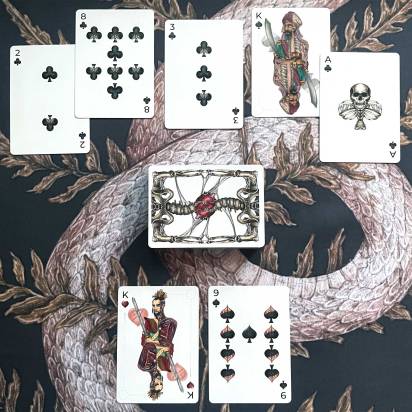 Anatomica Playing Cards