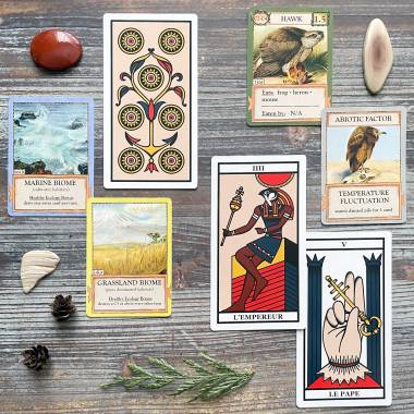 Ecologies + Bizarre Biomes Game Cards and Le Tarot Archétypal