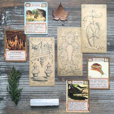 Ecologies + Bizarre Biomes Game Cards and Naibi di Giovanni Vachetta