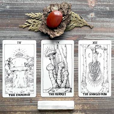 The Mushroom Tarot
