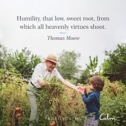 #DailyCalm with the Calm app