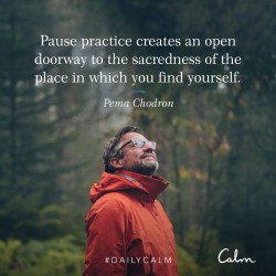 #DailyCalm with the Calm app