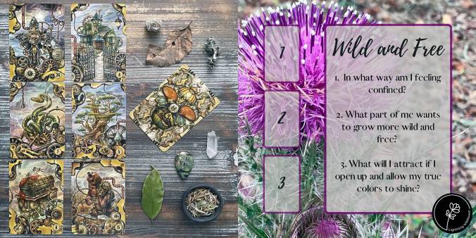 Wild and Free Lenormand Reading with the Steampunk Lenormand