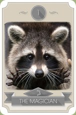 Raccoon Tarot - The Magician